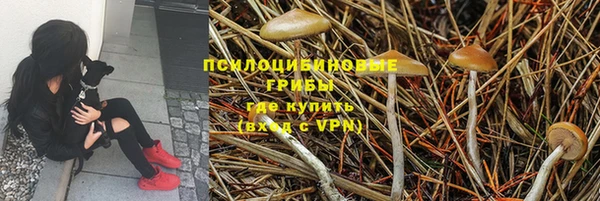ешки Каменка