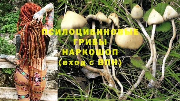 кокаин перу Каменногорск