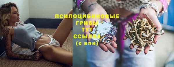 ешки Каменка